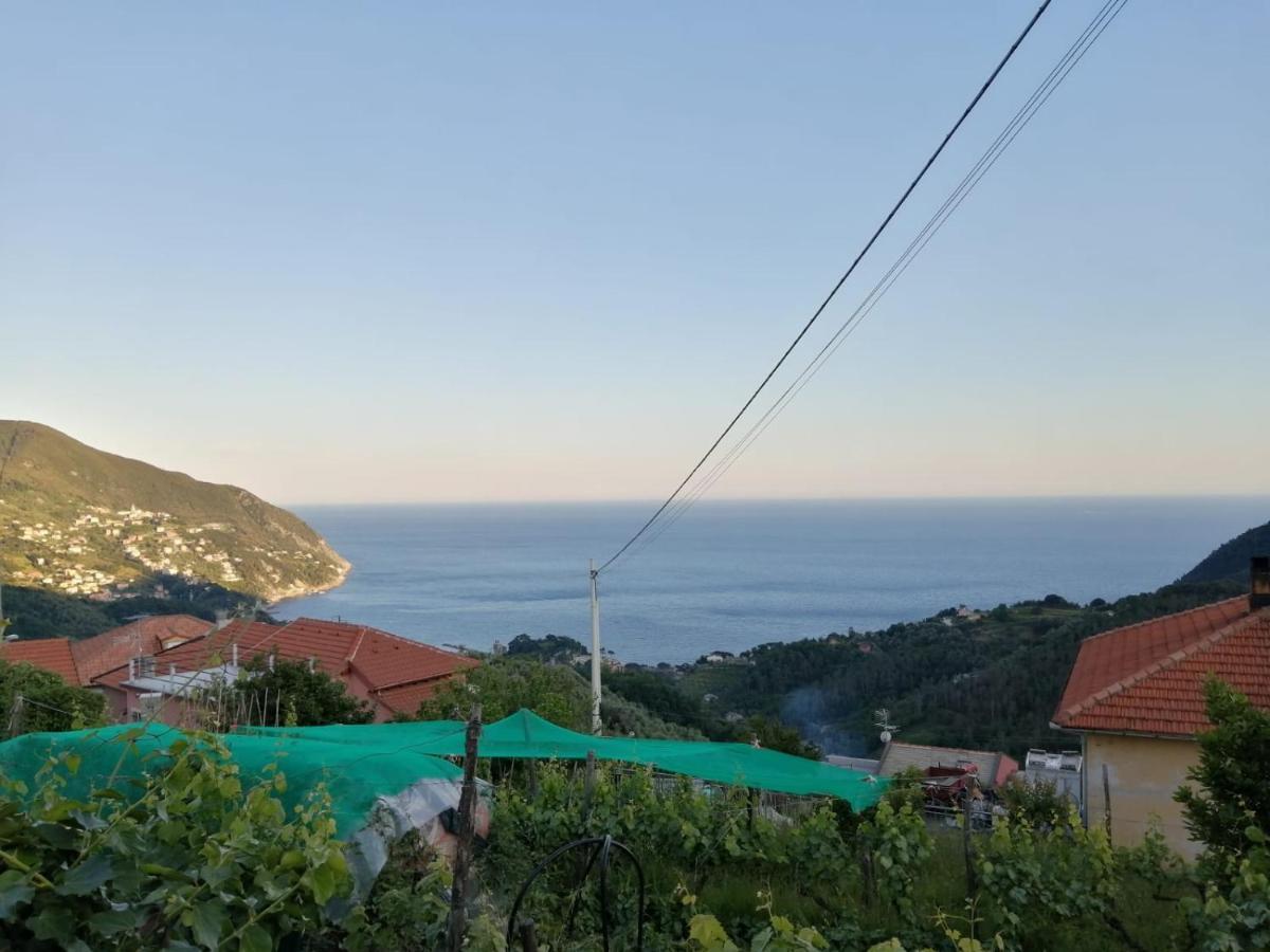 Sentieri Sul Mare Villa Moneglia Eksteriør bilde